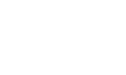 Trans Insight